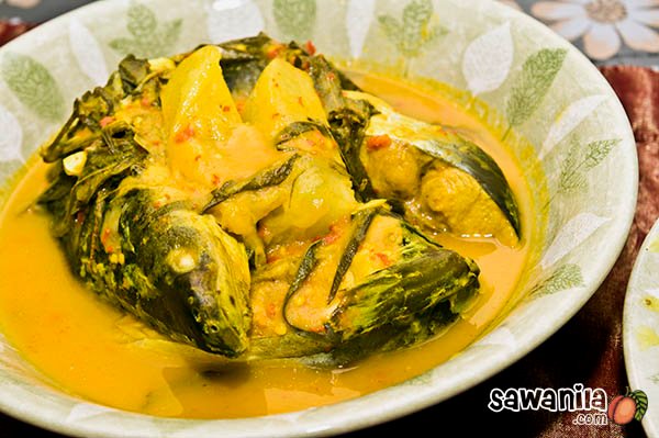 Ikan pahang resepi patin tempoyak Resepi Ikan